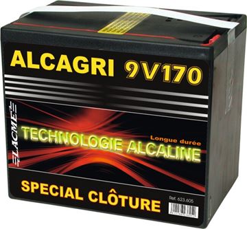 Image de BOX 45 Piles ALCAGRI 9V - 170 Ah