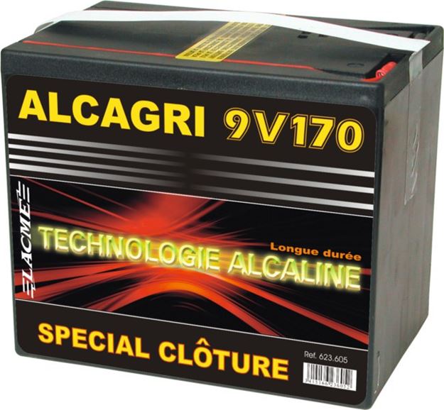 Image sur Pile ALCAGRI