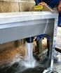 Image sur GV150 - Abreuvoir inox 1,50 m grande vidange